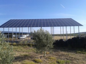 Bombeo solar para plantación de olivos en Valdesequilla