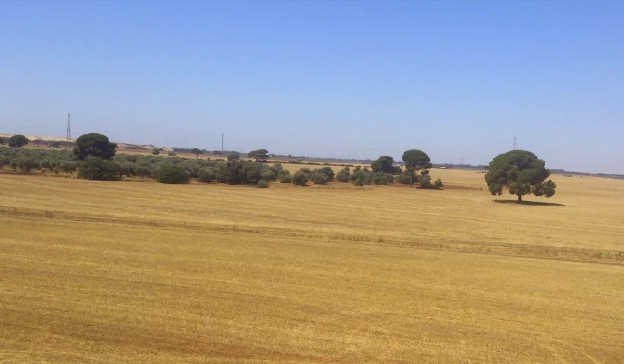 La fotovoltaica ve la luz en España
