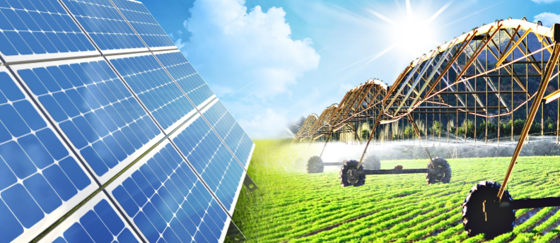 <!--:es-->Agricultura y autoconsumo fotovoltaico<!--:-->