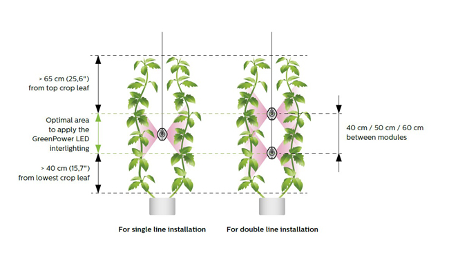 Grupo Elektra, caso de éxito Alberro Horticultura. Philips Green Power LED