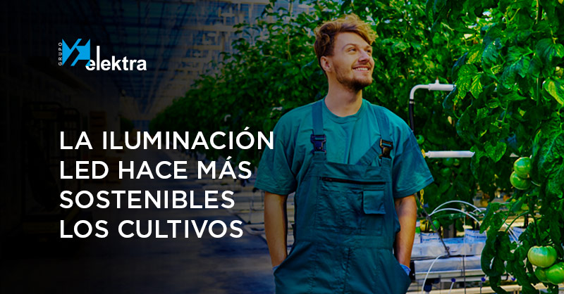 <!--:es-->La iluminación LED puede revolucionar la industria agrícola y hacer más sostenible nuestro consumo de alimentos<!--:-->