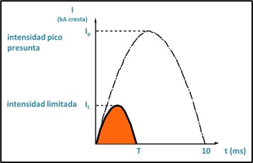 Imagen5