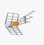 Common telecommunications infrastructure - Families - Grupo Elektra